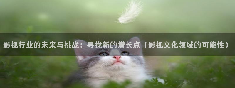 www.久久视频