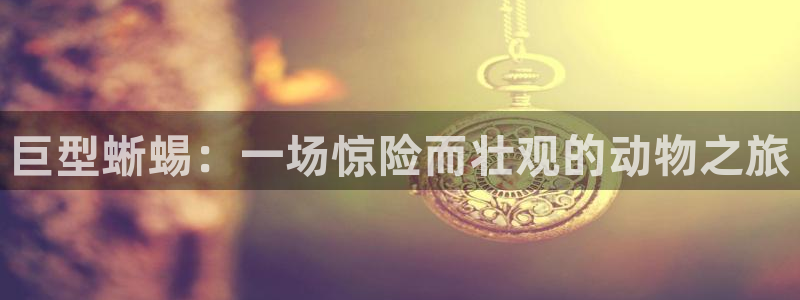 久久视频热在线