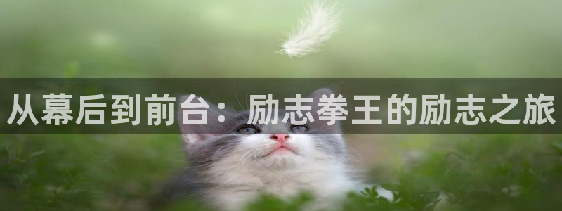 国产精品久久久久久久久电影