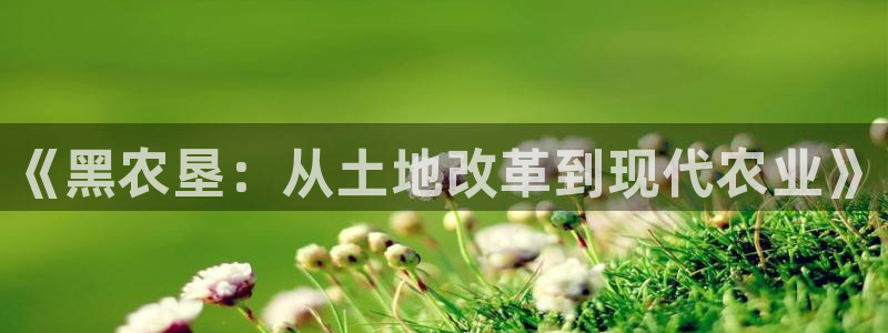 久久久久久久久免费视频