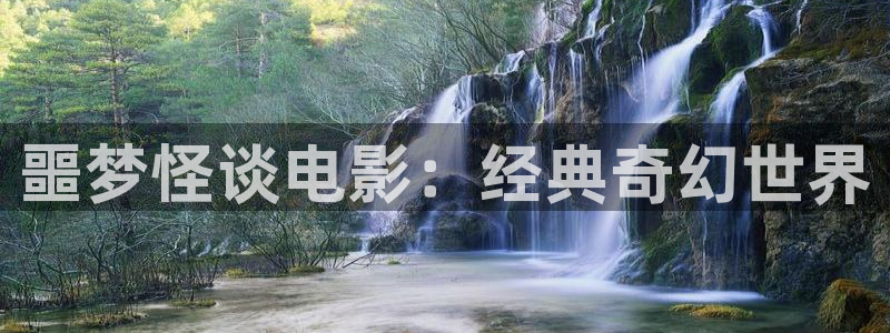 久久久久视频免费