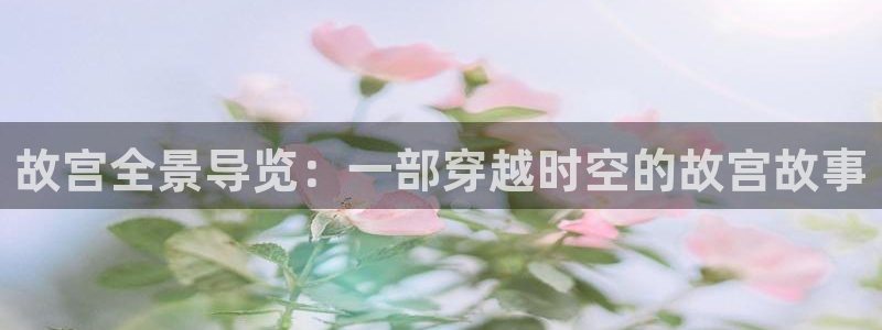 久久久久久久国产精品电影