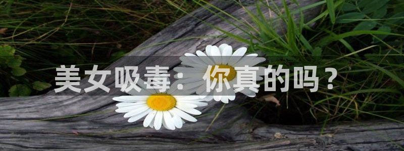 久久久0视频