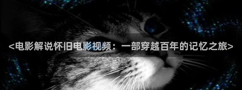 久久影院久久久久久