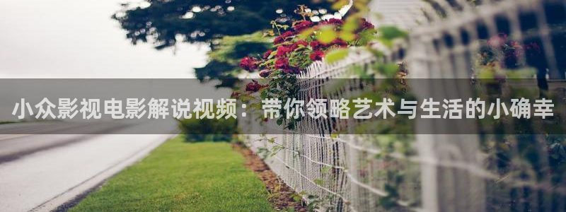 久久视频a
