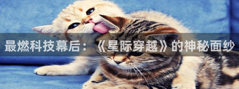 /99久久视频