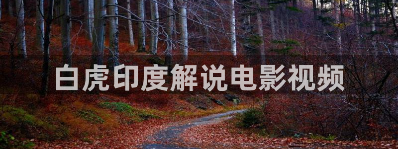 国产精品久久久久久影院