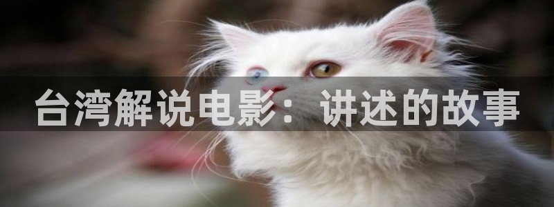 久久久免费播放