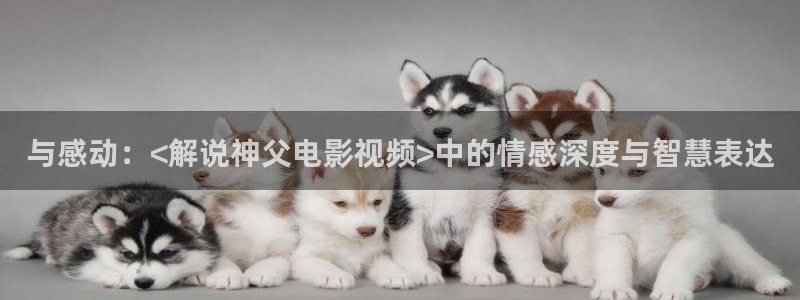 精品影视久久久久