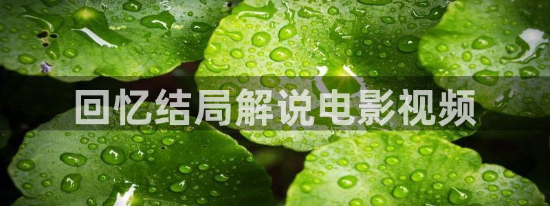 性久久久久久久久毛片蜜桃