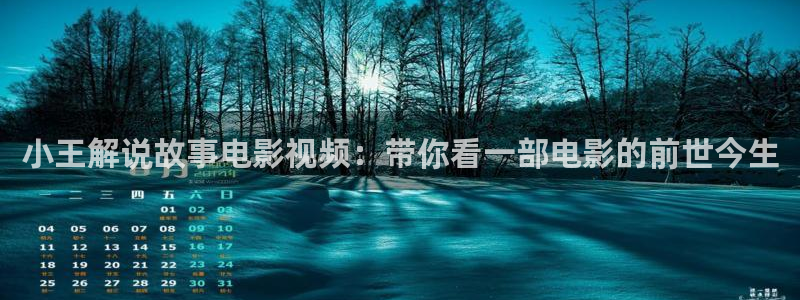 久久视频手机