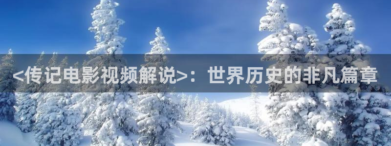 久久久久视频