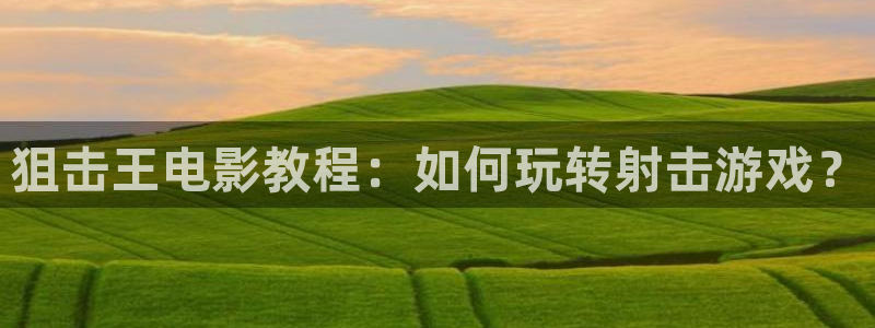 精品久久久久免费极品大片