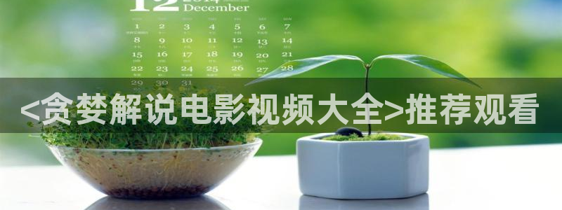 久久视频网站网址