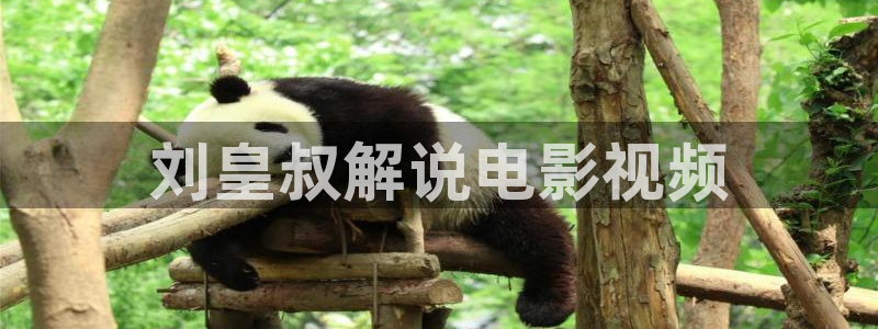 久久久久久久久影视