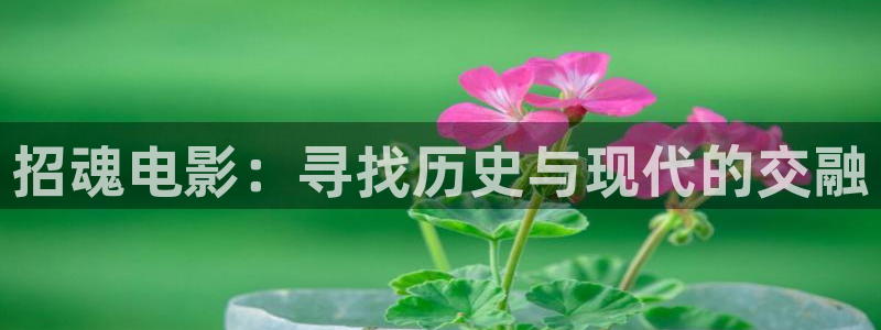 日韩久久久久久精品视频