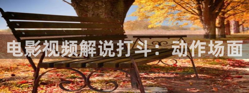 久久久久久久国内精品视频