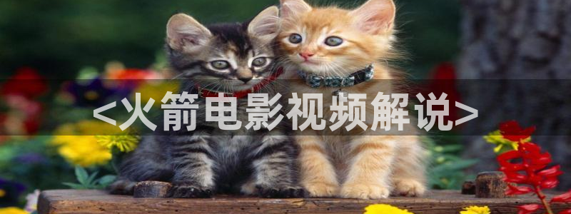 国产精品欧美久久久天天影视
