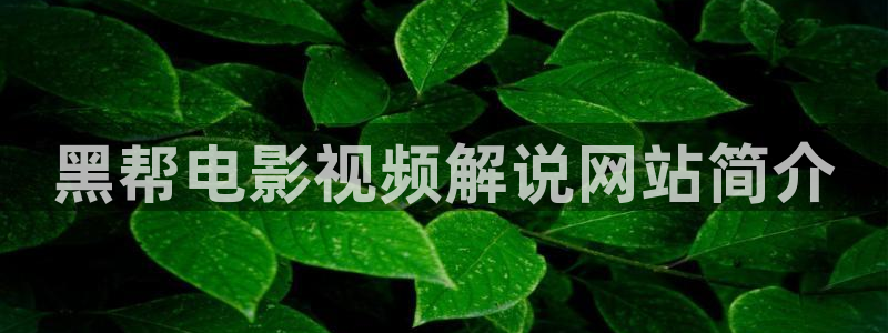 免费看久久视频