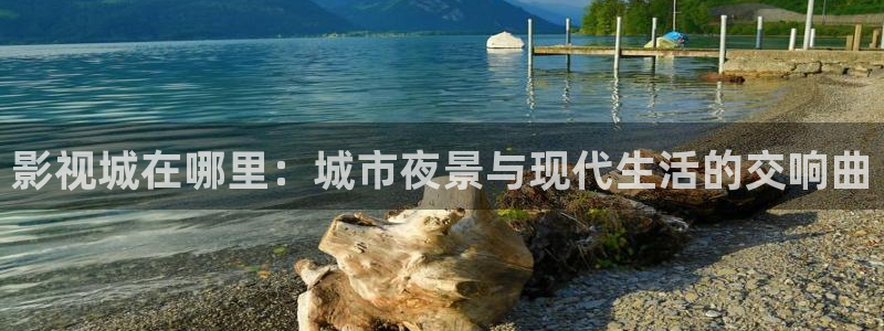 国产精品久久久久久视频