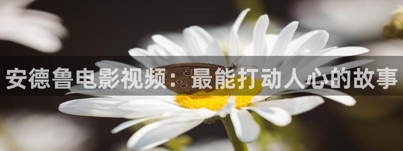 精品久久久久久精品电影