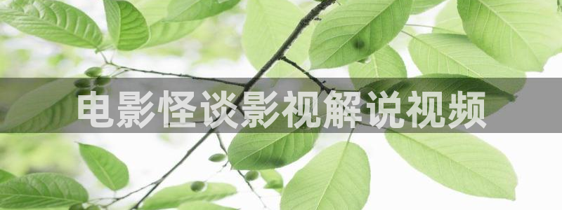 久久久电影网址