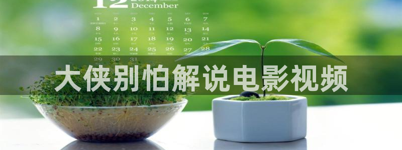 久久视频九九