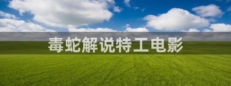 99 久久视频