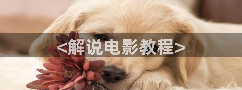久久久电影