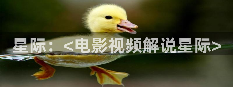 久久久99影院