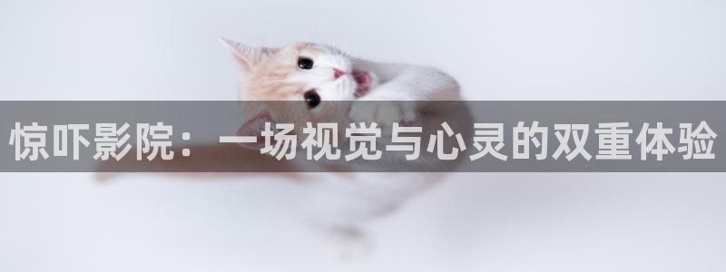 国内精品久久久精品电影院