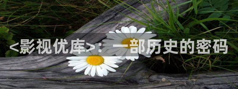 午夜电影久久久电影