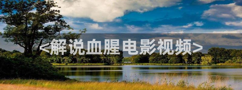 久久久久播影院：<解说血腥电影视频>