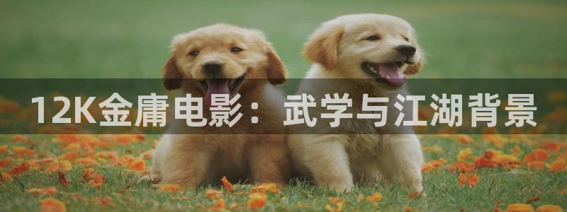 私人小影院久久久影院：12K金庸电影：武学与江湖背景