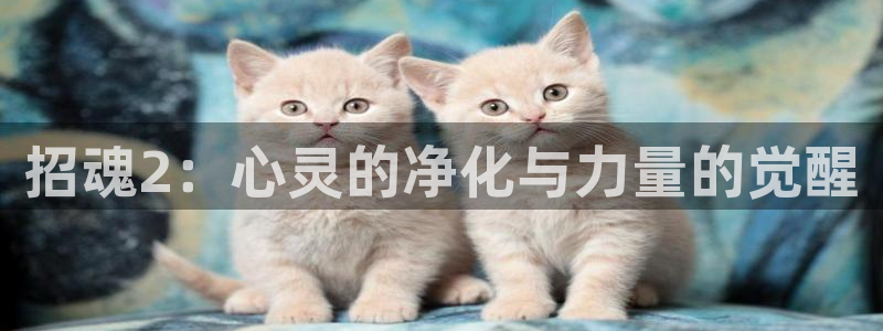久久视频完整版