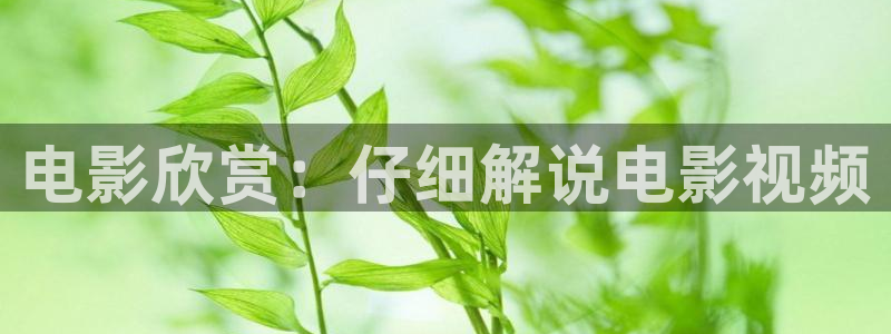 久久久影院电视剧免费播放观看