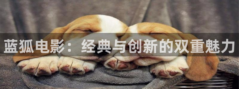 久久久97视频：蓝狐电影：经典与创新的双重魅力