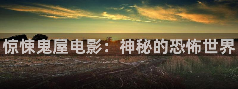 国产午夜精品久久久久电影