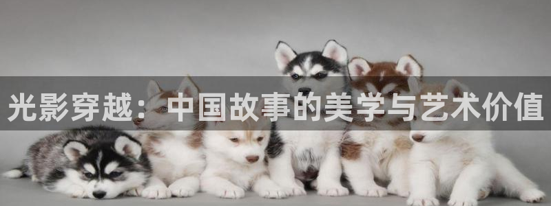 久久视频在线.