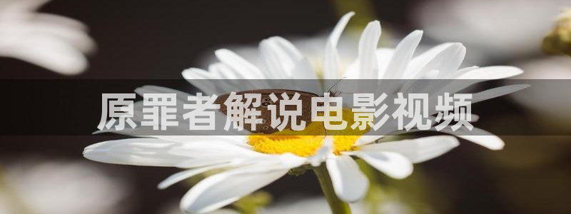 国产精品久久久久久电影