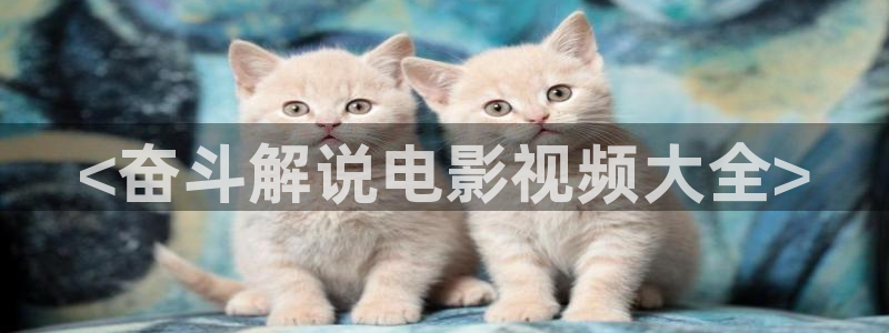 j久久视频