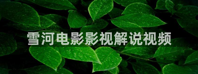 午夜影视久久久久久99蜜桃