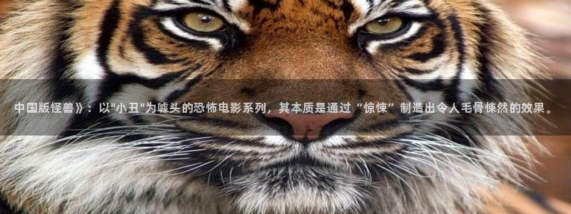 日久久视频