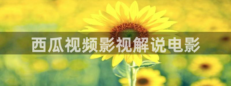 9国内精品久久久久免费影院