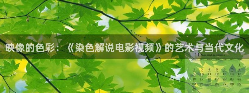 久久视频在线观看久久