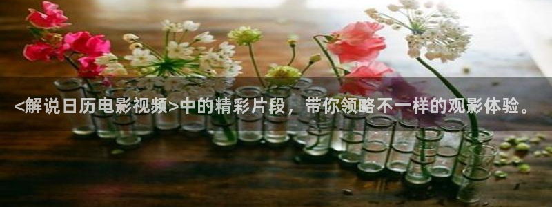 午夜电影久久久：<解说日历电影视频>中的精彩片段，带你领略不一样的观影体验。