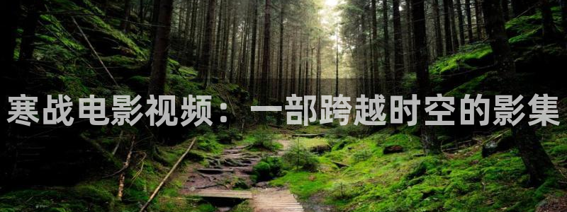 国产精品久久久久精品视频：寒战电影视频：一部跨越时空的影集