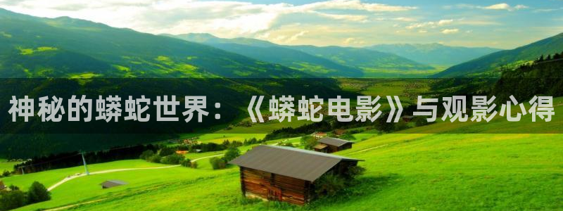 国内精品伊人久久久久av影院