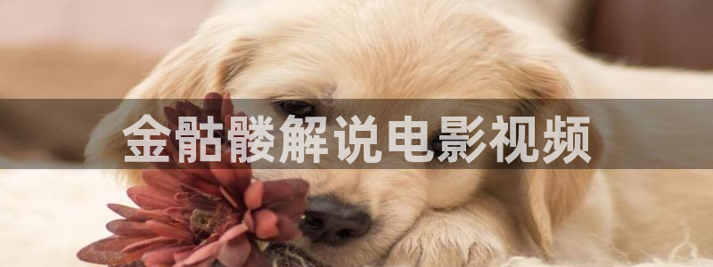 久久视频a