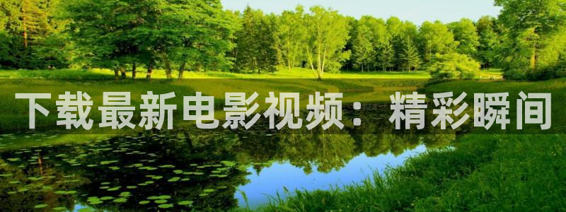 久久视频33